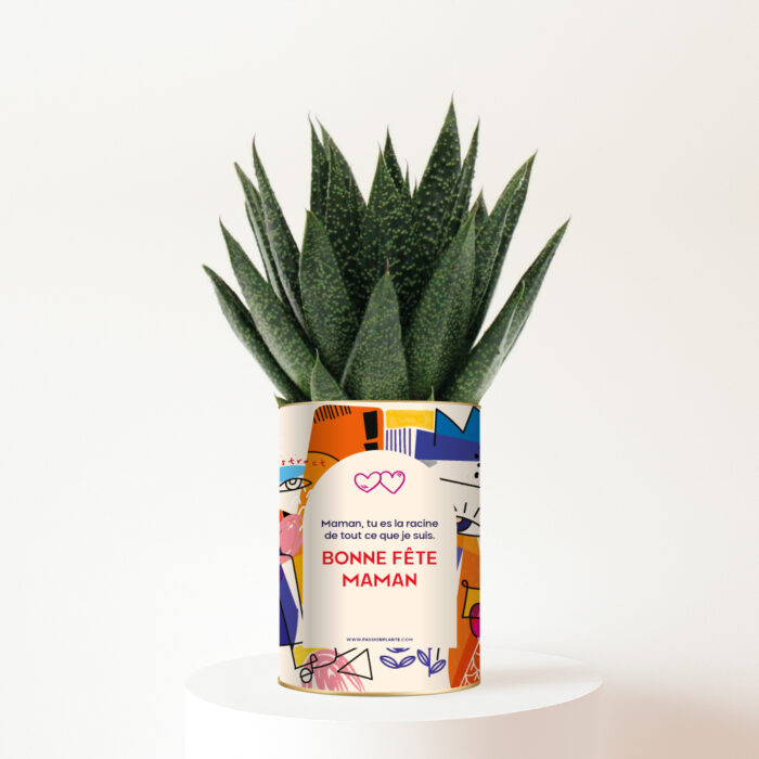 Plante personnalisée Gasteria Fête des Mères – Bonne fête maman, tu es la racine de tout ce que je suis