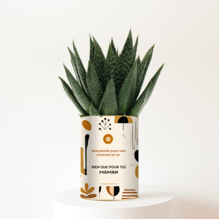 Rien que pour toi Maman - Plante personnalisée bohème - Cadeau fête des mères plein d’amour