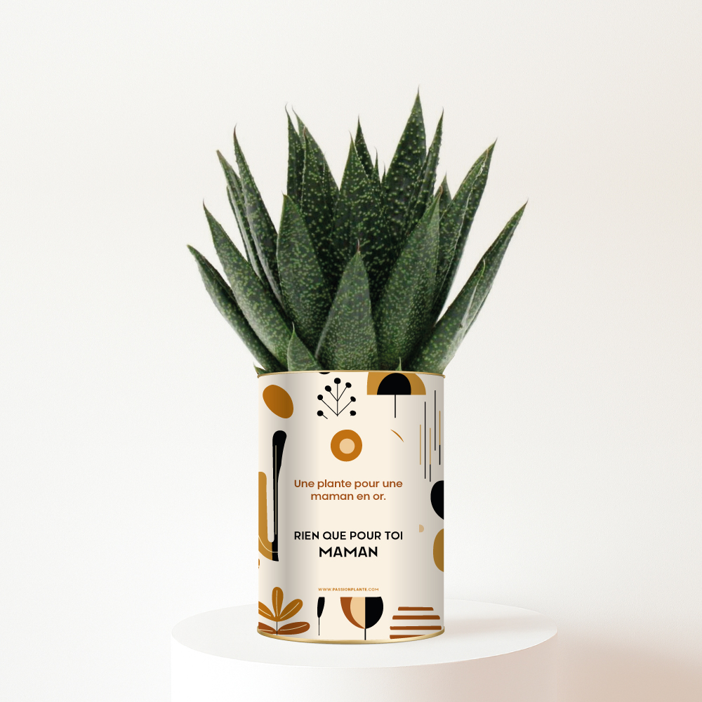 Rien que pour toi Maman - Plante personnalisée bohème - Cadeau fête des mères plein d’amour
