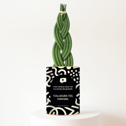 Plante personnalisée Sansevieria tressée - Cadeau Fête des Mères - Toujours toi, Maman