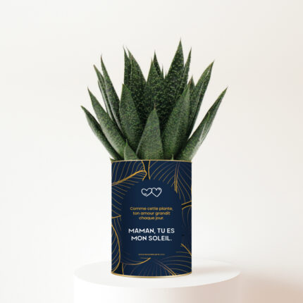 Maman, tu es mon soleil - Plante personnalisée - Cadeau fête des mères plein d’amour