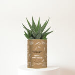 Plante personnalisée Merci Maîtresse - Cadeau nature plein de gratitude
