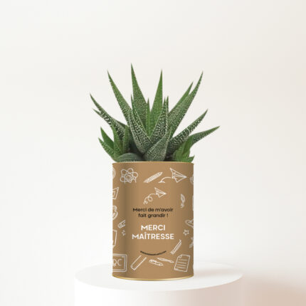 Plante personnalisée Merci Maîtresse - Cadeau nature plein de gratitude