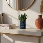 Maman, tu es mon soleil - Plante personnalisée - Cadeau fête des mères plein d’amour