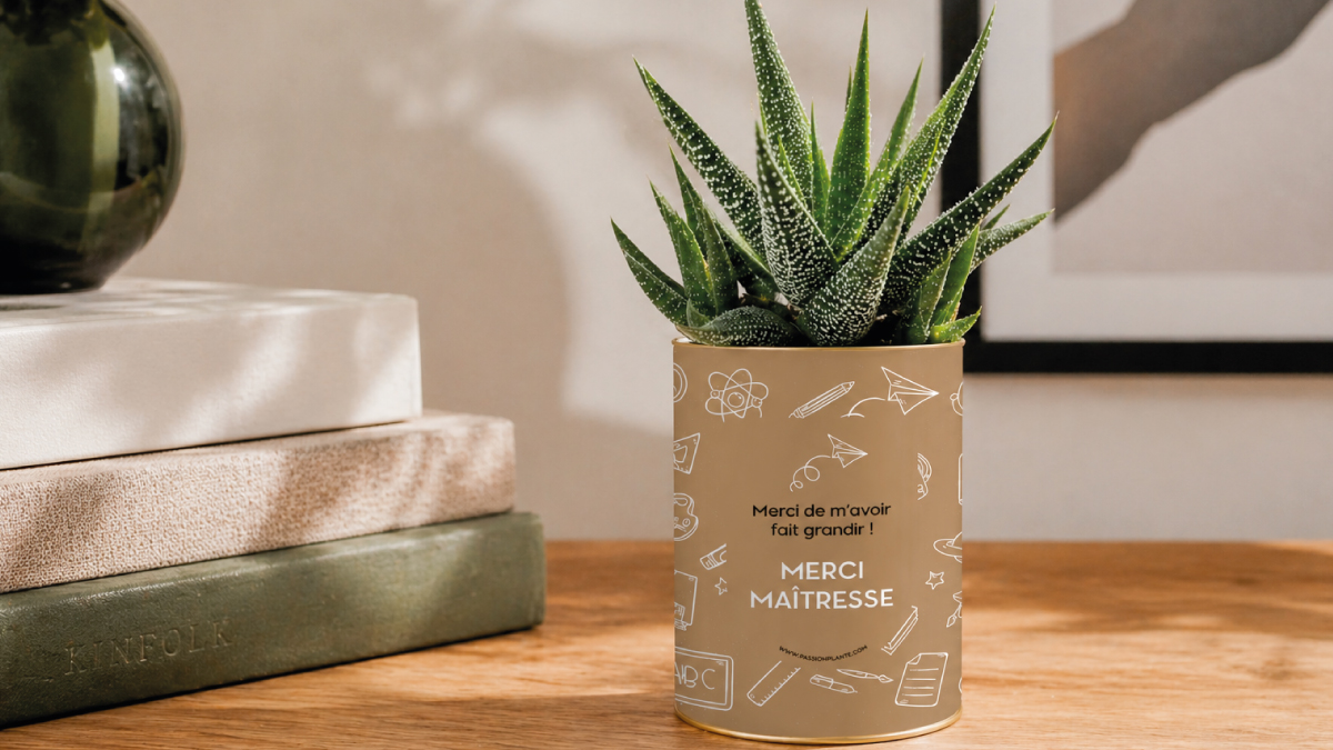 Cadeau maîtresse original