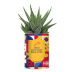 Merci pour cette belle année - Plante personnalisée - Cadeau enseignant plein de gratitude