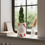 Tu es ma lumière, je suis ta plante - Plante personnalisée Sansevieria tressée – Cadeau Fête des Mères