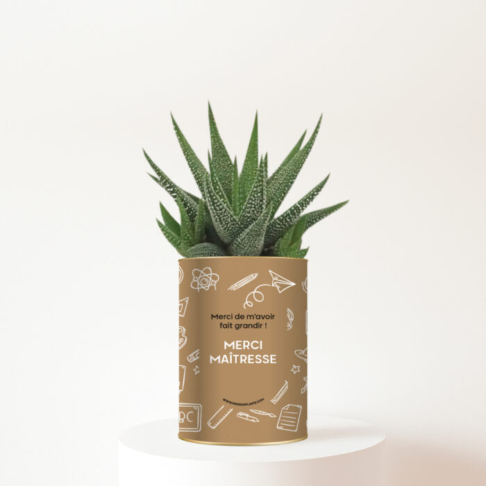 Plante personnalisée Merci Maîtresse - Cadeau nature plein de gratitude