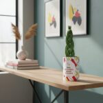 Tu es ma lumière, je suis ta plante - Plante personnalisée Sansevieria tressée – Cadeau Fête des Mères